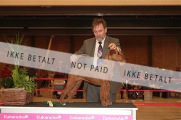 124188 _tl_02_IMG_9641.JPG