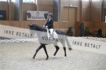 182176_kbb_01_Z092686.JPG