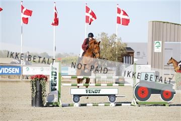 181332_kbb_01_6II3333.JPG