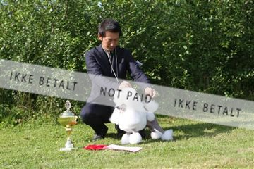 130370_se_02_IMG_6733.JPG
