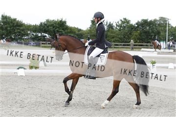 166078_rhj_01__J7R3321.JPG