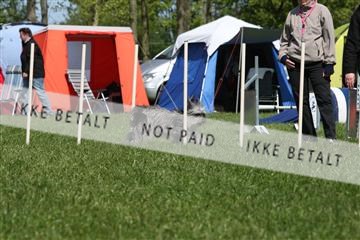 134871_ms_02_IMG_2873.JPG