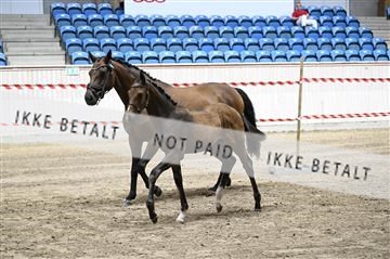181754_kbb_01_Z093792.JPG