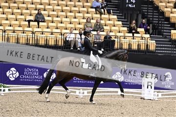 182194_kbb_03_Z099720.JPG