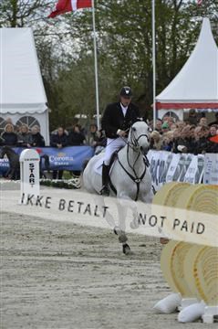 139644_abo_11__AB11569.JPG