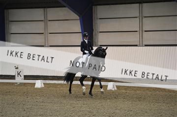 140040_abo_01__AB17713.JPG