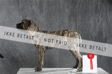 130054_le_ 03_0167.JPG