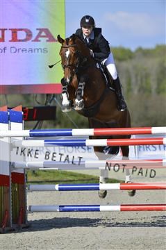 139644_abo_02__AB14469.JPG