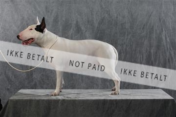 128239_le_kort_ 01_0238.JPG