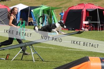 130370_tl_02_IMG_7805.JPG