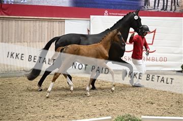 181957_kbb_01_Z097996.JPG