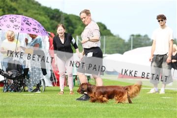 181564_rin_02_R62_1346.JPG