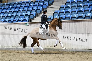 182241_kbb_01_Z092980.JPG