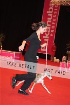 126827_tl_04_IMG_9804.JPG