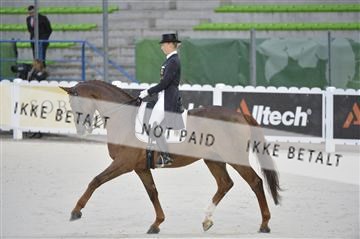144462_bc_07__BC11386.JPG