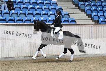 182241_kbb_01_Z095078.JPG