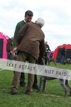134871_ms_04_IMG_9945.JPG
