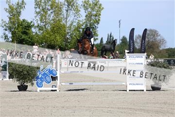181436_avh_02_4066.JPG