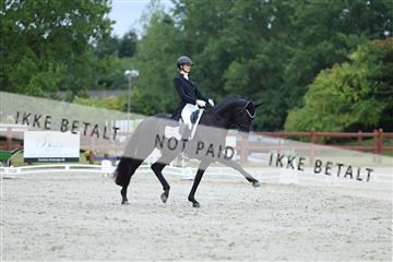 181923_mtp_01_R62_6540.JPG