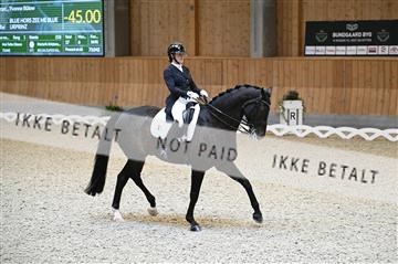 182176_kbb_01_Z094396.JPG