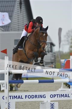 139644_bc_01__BC18604.JPG