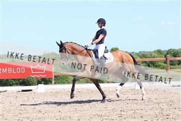 181449_bc_01R62_5818.JPG