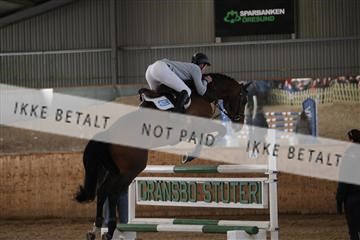 139206_kl_1_8M1Q5217.JPG