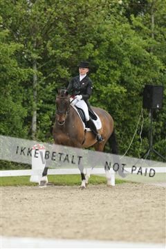 139835_sg_02_IMG_8644.JPG