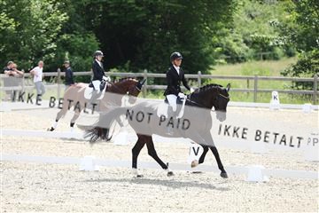 172030_mtp_01_3M5A2208.JPG