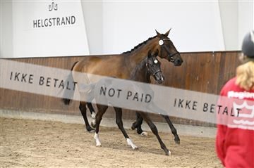 181739_kbb_01_Z091565.JPG