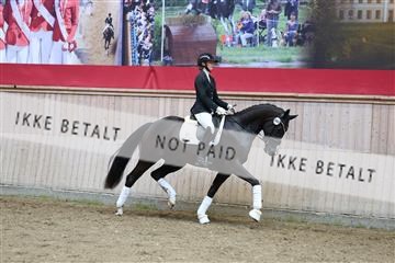 181887_mtp_04_R62_9277.JPG