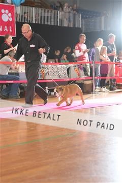 6068_ma_05_IMG_5444.JPG