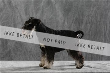 128239_le_kort_ 01_0195.JPG