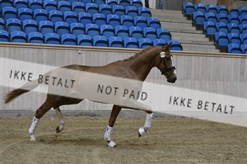 139327_abo_01__AB10154.JPG