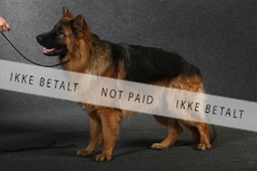 132082_le_ 01_IMG_0738.JPG