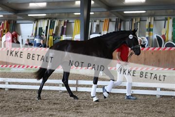 181756_mtp_01_R62_1467.JPG