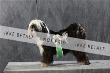 128239_le_kort_ 01_0085.JPG