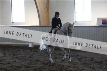 139267_kl_1_8M1Q6898.JPG