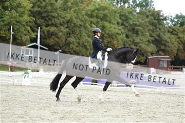 181923_mtp_01_R62_6742.JPG