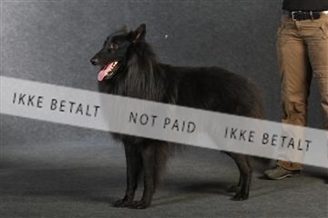 132082_le_ 01_IMG_0808.JPG