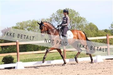 181449_bc_01R62_6075.JPG