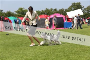 135616_jbr_03_IMG_1267.JPG