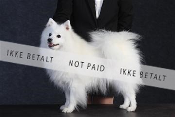 132082_le_ 01_IMG_0455.JPG