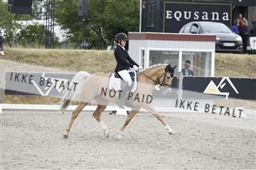 166078_rhj_01__J7R3060.JPG
