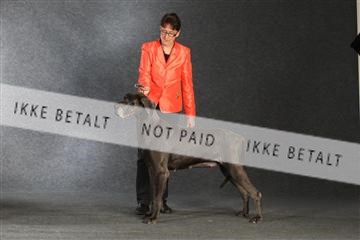 132082_le_ 01_IMG_1458.JPG