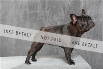 130054_le_ 01_0115.JPG