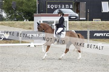 166078_rhj_01__J7R3100.JPG