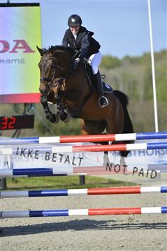 139644_abo_02__AB14676.JPG