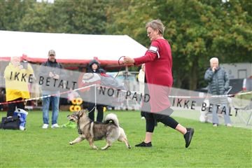 182009_rin_02_R62_2980.JPG