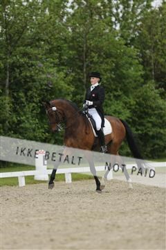 139835_sg_03_IMG_9174.JPG